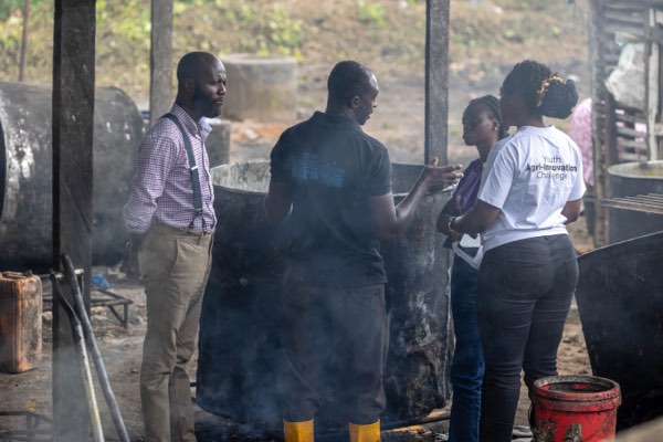 Palm oil processing at the site