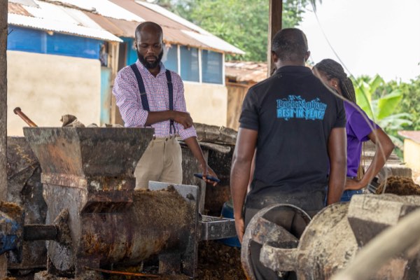 Palm oil processing at the site