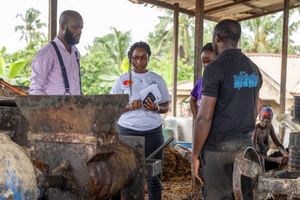 Palm oil processing at the site