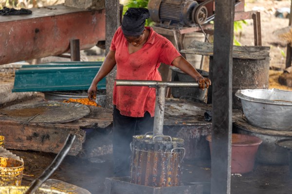 Palm oil processing at the site