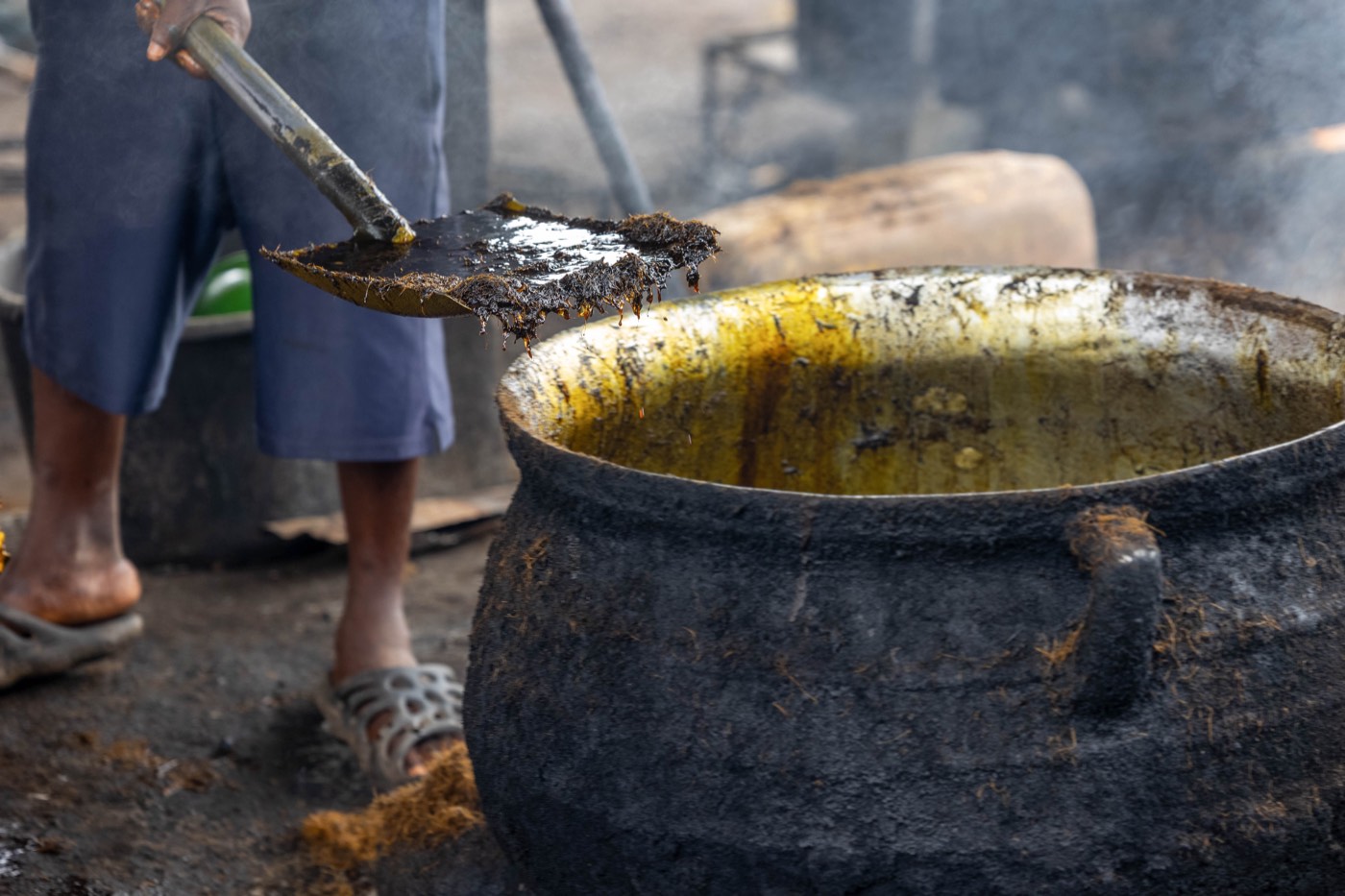 Palm oil processing at the site