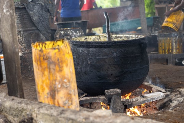 Palm oil processing at the site