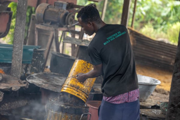 Palm oil processing at the site
