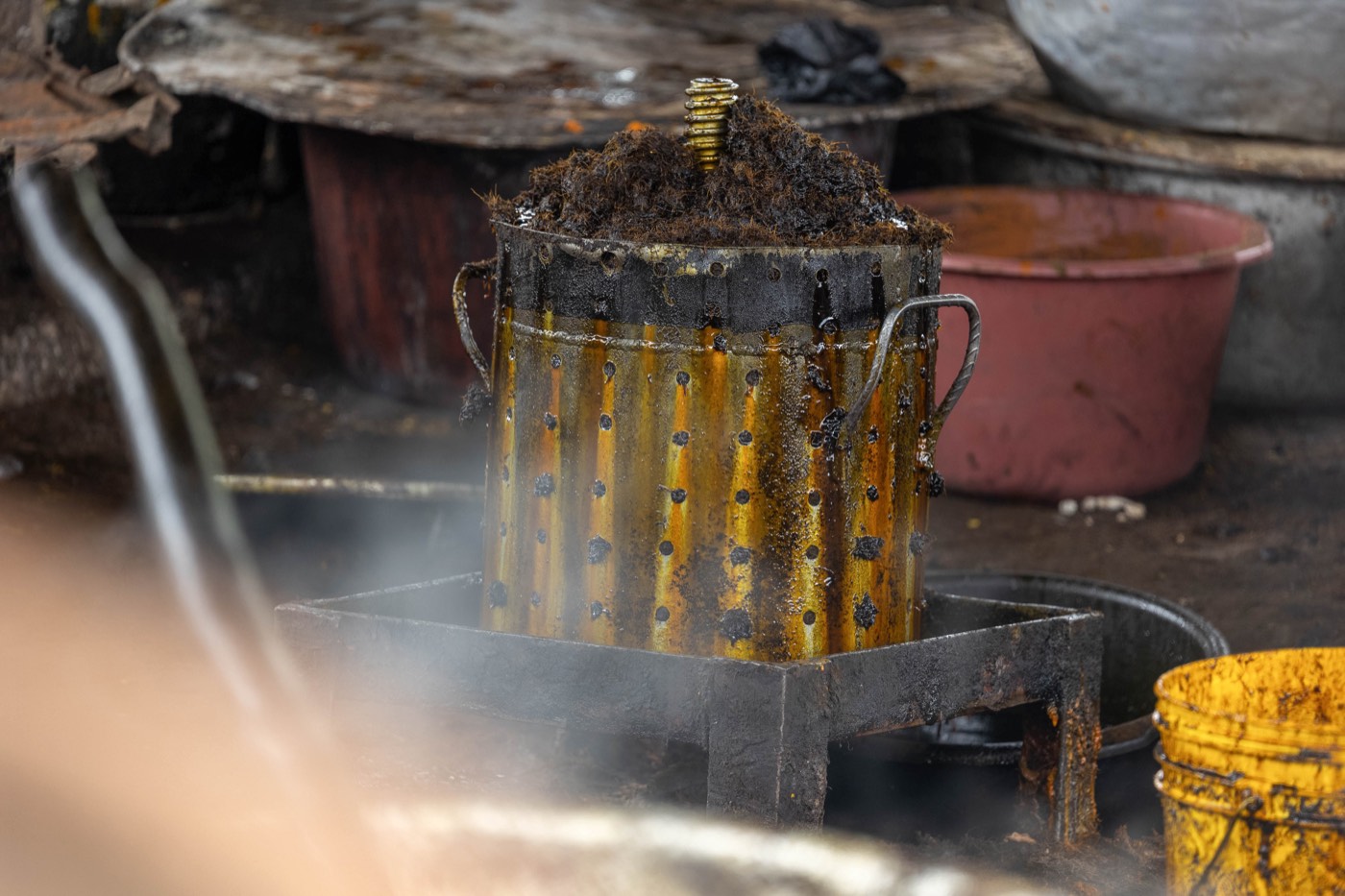 Palm oil processing at the site