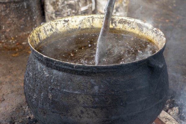 Palm oil processing at the site