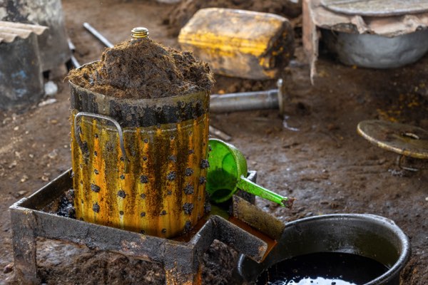 Palm oil processing at the site