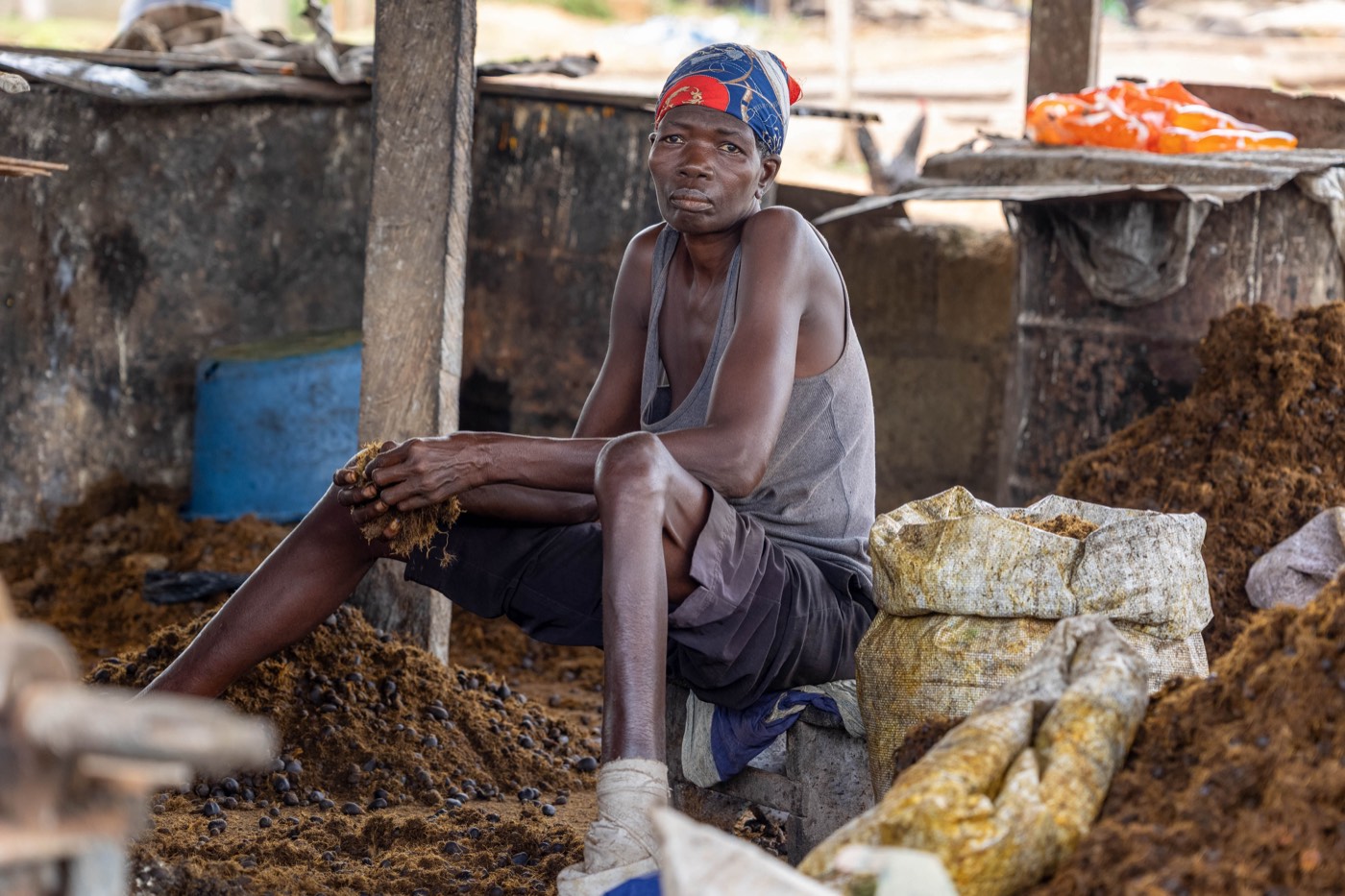 Palm oil processing at the site