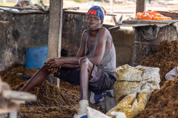 Palm oil processing at the site